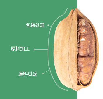 碧根果婷婷伊人AV精品初加工